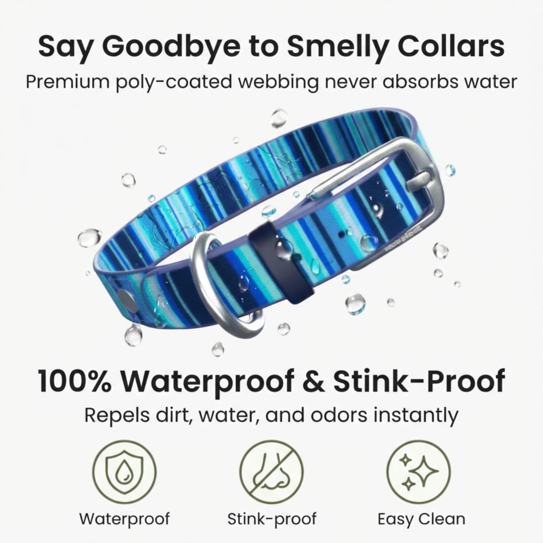 Collar Impermeable Walk Together