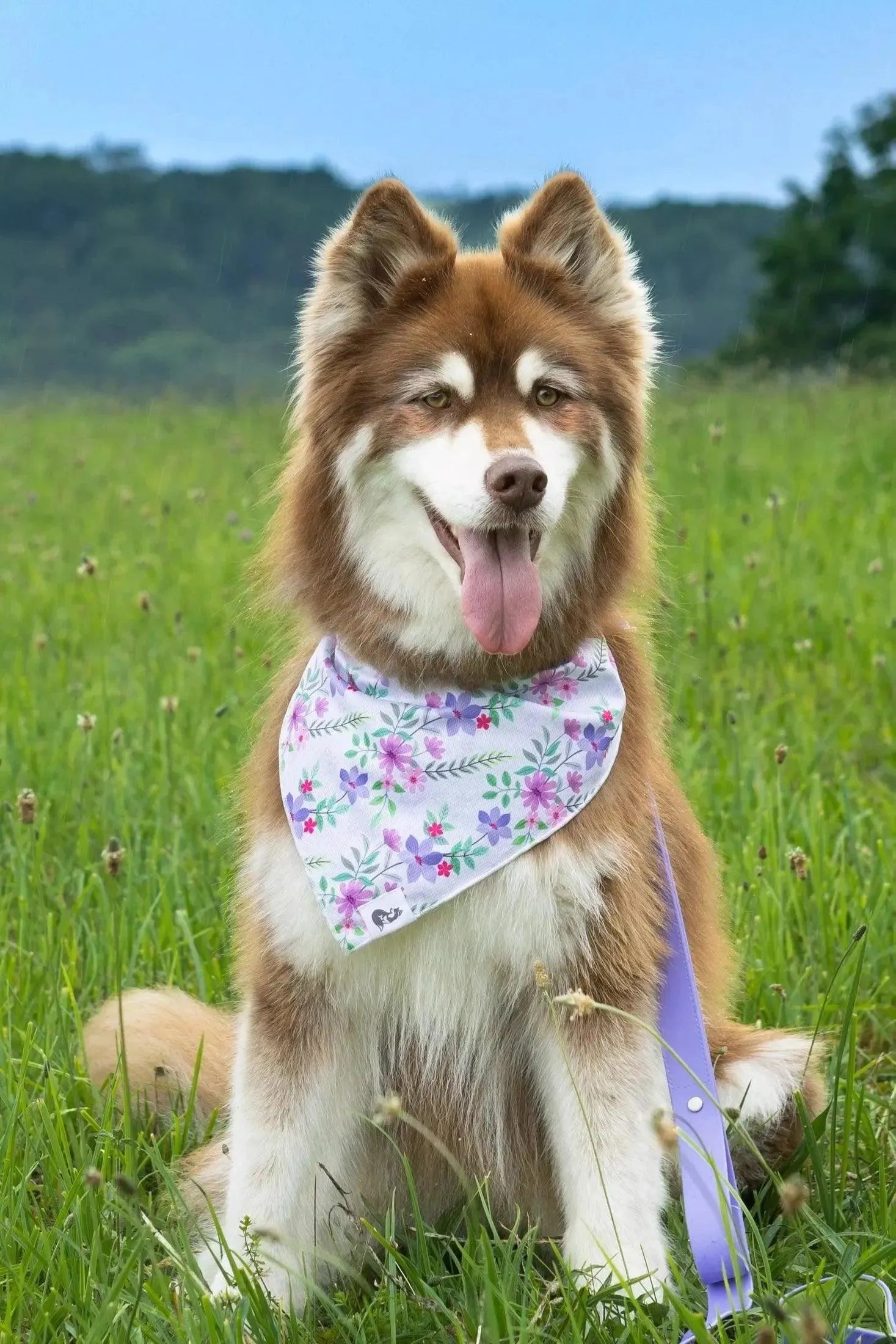 Set Same Pack: Bandana y Llavero Wildflower